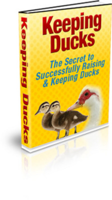 Product picture Keeping Ducks PLR eBook