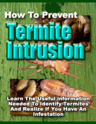 Product picture How To Prevent Termite Intrusion (PLR)