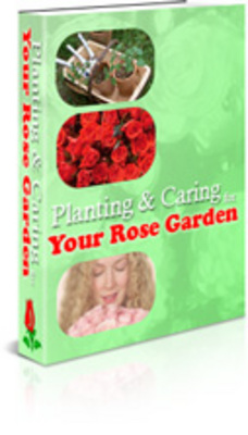 Product picture Rose Garden (MRR)